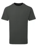 Anthem Heavyweight T-Shirt AM015 in Carbon