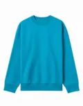 True Blanks Mens Boxy Sweatshirt TB02M020 in Turquoise