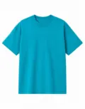 True Blanks Mens Boxy Tee TB02M031 in Turquoise