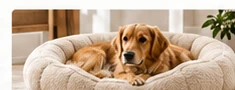 Elevated Pet Bowls