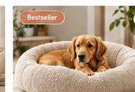 Memory Foam Pet Bed